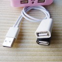 USB Type-A Male to Dual Type-A Female Cable (30cm)