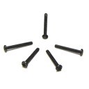 M2.0 x 16mm Black Screws (PM2X16)