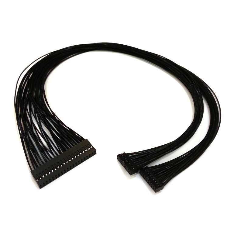 40 Pin 2.54mm Pitch Dupont to Dual 20 Pin 2.00mm Pitch Dupont Cable - MODDIY