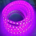 Custom Length Sleeved LED Light Strip - Purple