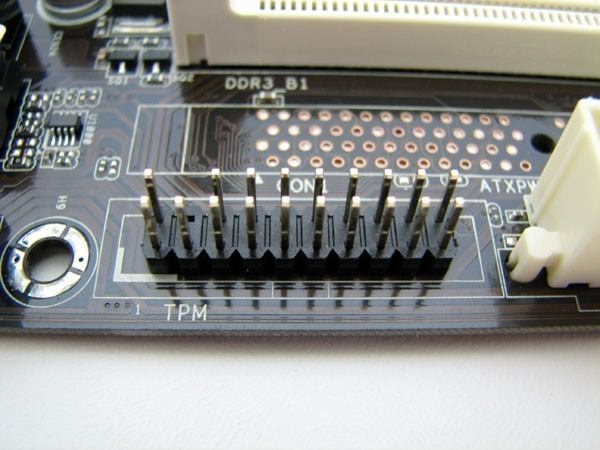 40 Pin 2.54mm Pitch Dupont to Dual 20 Pin 2.00mm Pitch Dupont Cable - MODDIY