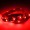 Custom Length Sleeved LED Light Strip Red
