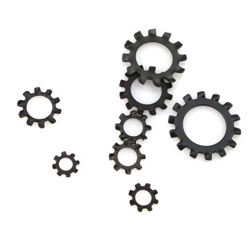 M3 External Tooth Lock Washer