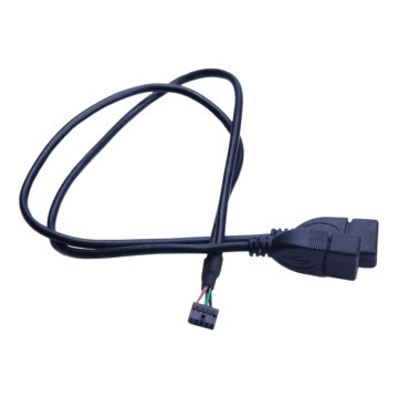 10 Pin 2.0mm X600 Internal USB Header to Type A Female Y Port Cable