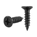 M3 x 10mm Black Screws KA3X10