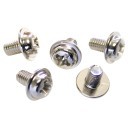 M3.0 x 4mm Silver Screws (PWM3X4)