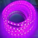 Custom Length Sleeved LED Light Strip - Purple
