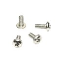 PWM4 x 10mm Silver Screws PWM4X10