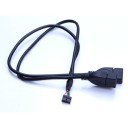 10-Pin 2.00mm X600 Internal USB Header to USB Type-A Female Y Port Cable (30cm)