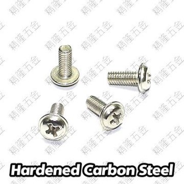 PWM4 x 10mm Silver Screws (PWM4X10)