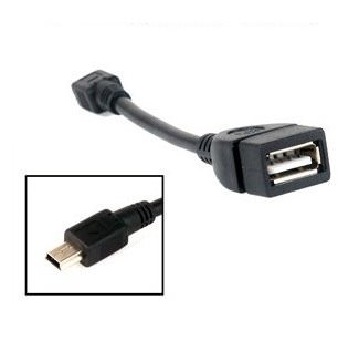 Mini USB Male to USB Type-A Female Adatper Cable (Black)