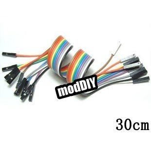 Dupont 2.54mm 10-Wire Ribbon Cable (30cm) - MODDIY