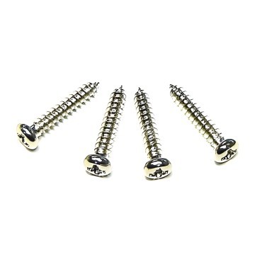 M3.0 x 16mm Silver Screws (PA3X16)