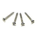M3.0 x 16mm Silver Screws (PA3X16)