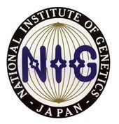 nig-logo.jpg